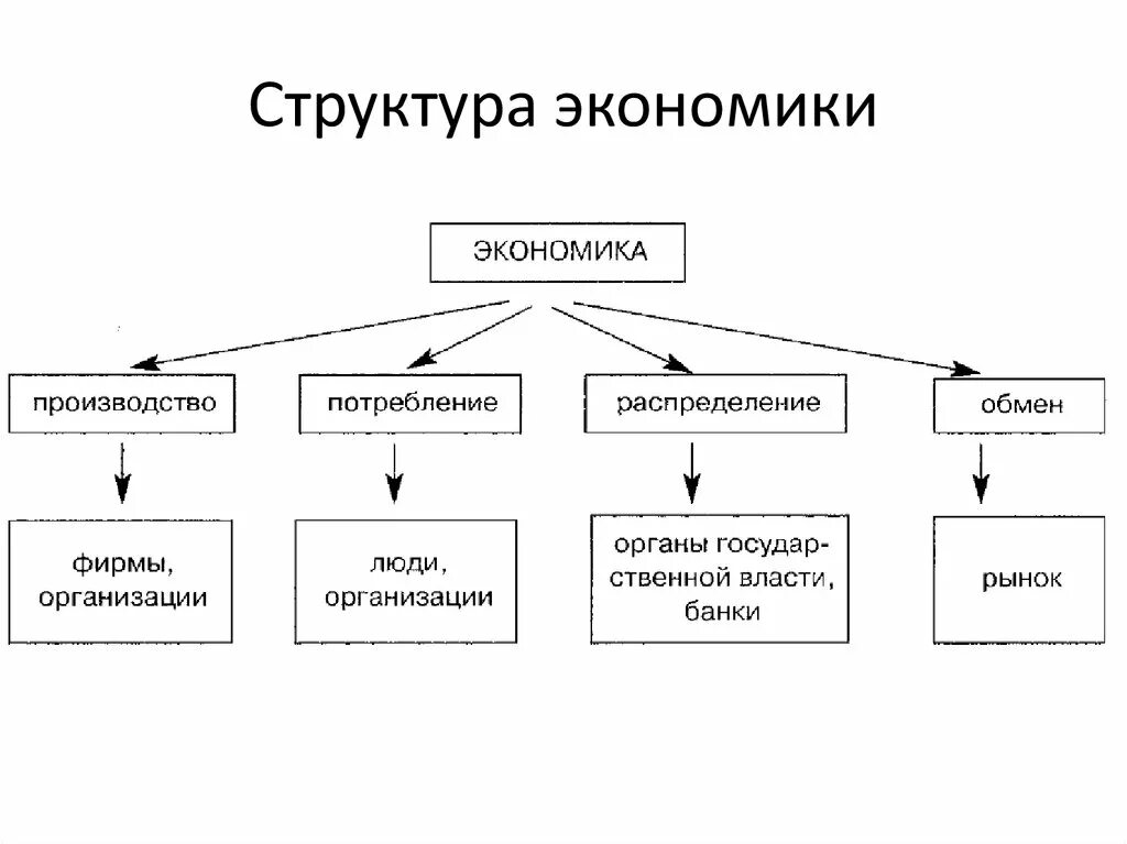 Структура экономики. Структура предприятия это в экономике. Структура экономической структуры. Структура экономики Обществознание.