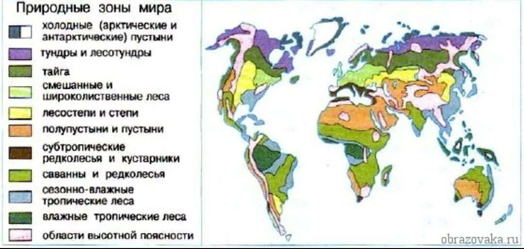 Природные зоны земли карта. Природные зоны земли схема.