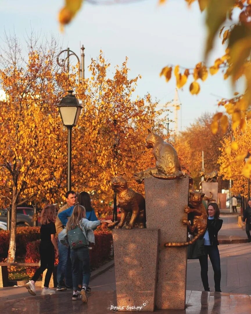 Рассвет в тюмени. Тюмень осень достопримечательности. Тюмень осень 2022. Тюменская осень. Какая будет осень в тюмени.