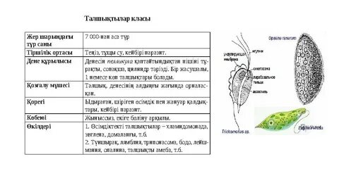 Терең жұлдыру қатты