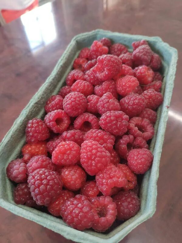 малина в контейнере. малина 125 лоток. малина в коробах. малина быстрозамороженная. малина в ящиках.