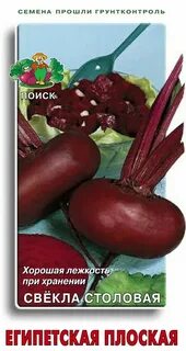Свекла египетская