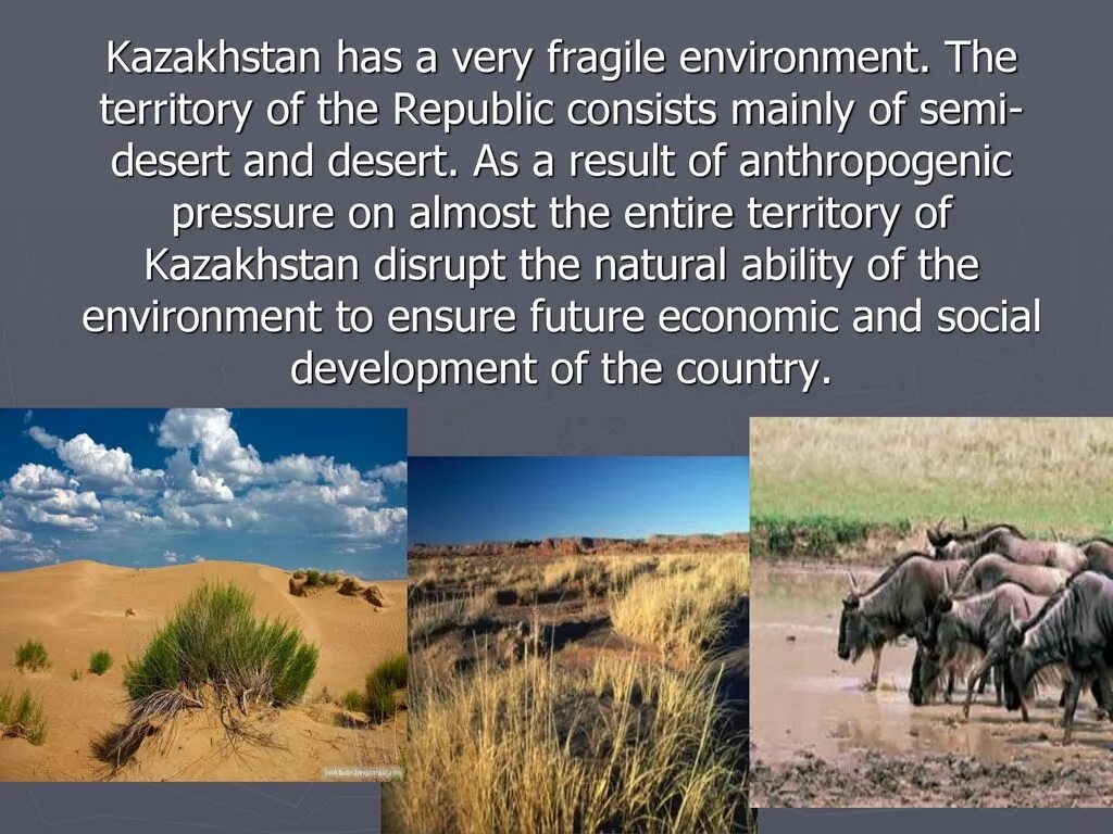 One of the most important environmental problems. Environmental problems презентация. ecological problems презентация. презентация на тему environment. ecology and environmental problems презентация.