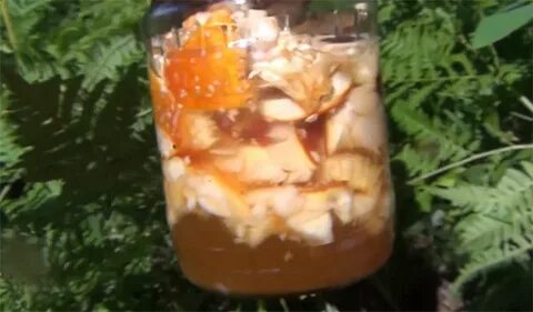 Настойка из мухоморов лечение