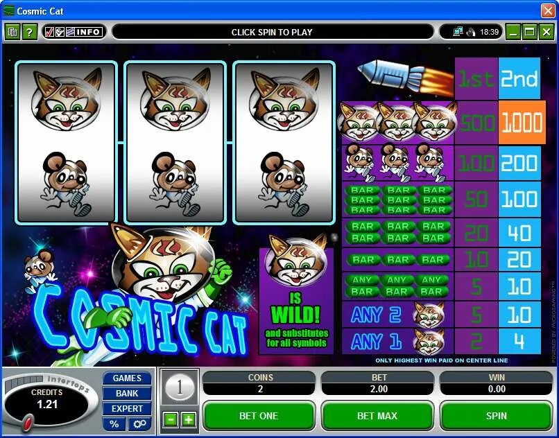 Casino cat cat license play space. Слот с кошками. Кошка в игровом автомате. Игра слоты кошки. Cat Casino играть.