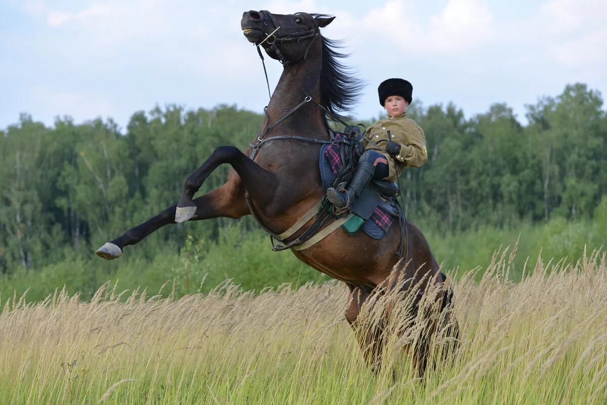 Скачут лошадки песня