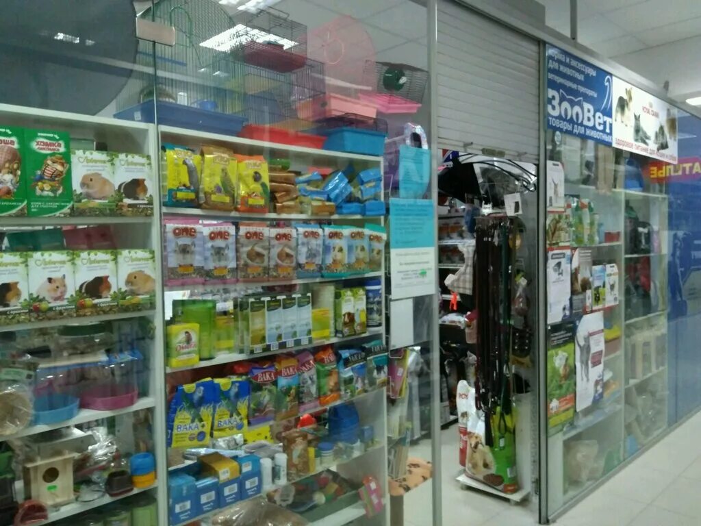 магазин байт белгород. зоомагазин в боше старый оскол. др холли белгород. доктор холли зоомагазин белгород. лемур зоомагазин белгород.