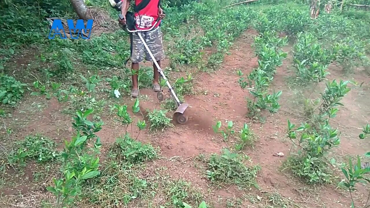 Насадка для окучивания картошки. Культиваторная головка weeder. насадка на мотокосу для прополки картофеля. триммер для окучивания картофеля. прополка картофеля.