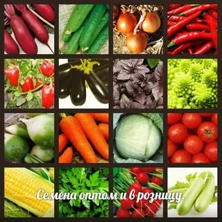 Агросемена