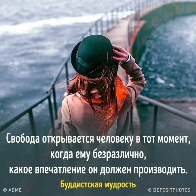 Открой цитаты