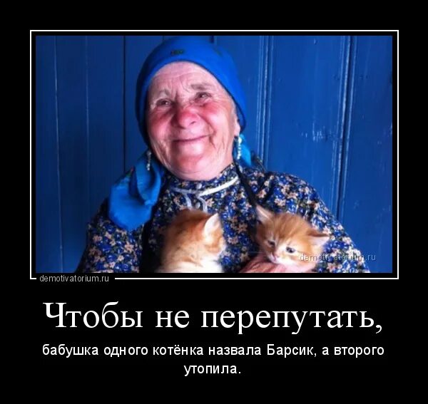 Демотиваторы про бабушек. Бабушка одного котенка. Смешные старухи приколы. Бабушка с котом.