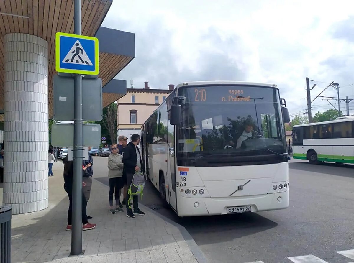140 Автобус Зеленоградск. Автобус 210 Зеленоградск. Пригородные автобусы Калининград. Движение маршрутного автобуса 618.