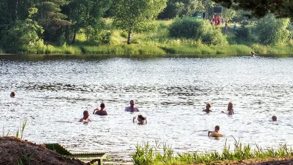 Петы купаются. Пруд в городе. Ставрополь водоемы для купания. Мураново пруд. Мураново озеро для купания.