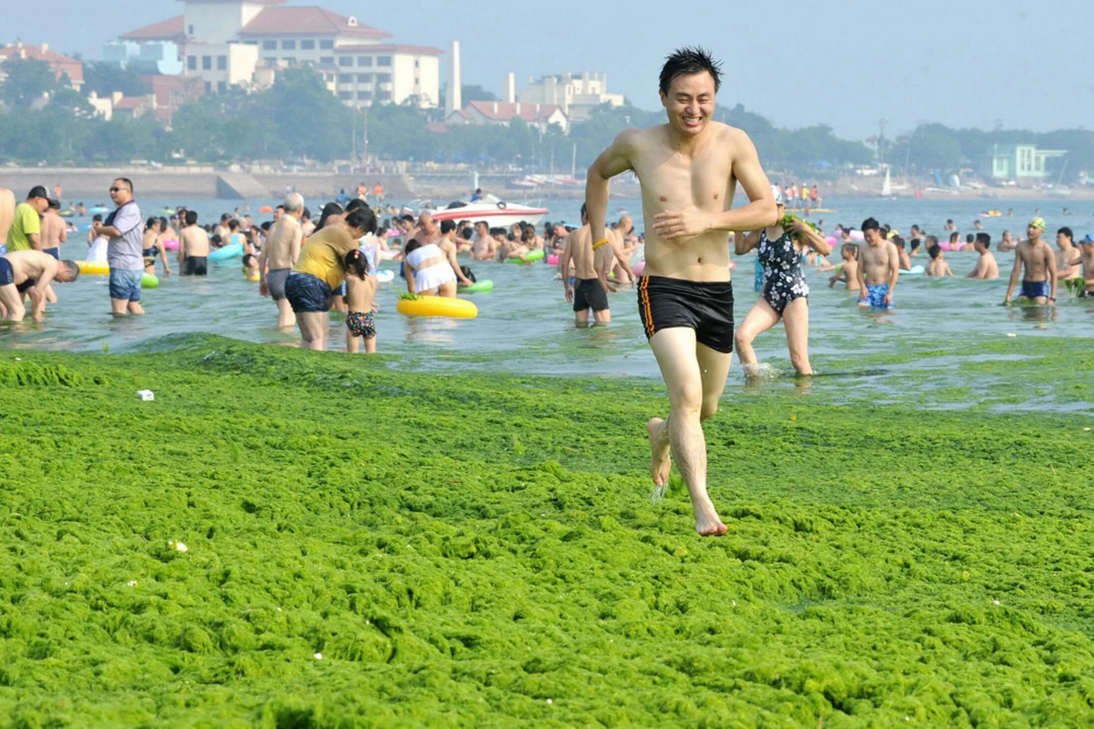 Япония купаться. Желтое море Циндао. Жёлтое море в Китае Циндао. Пляж в Китае. Китайцы купаются.