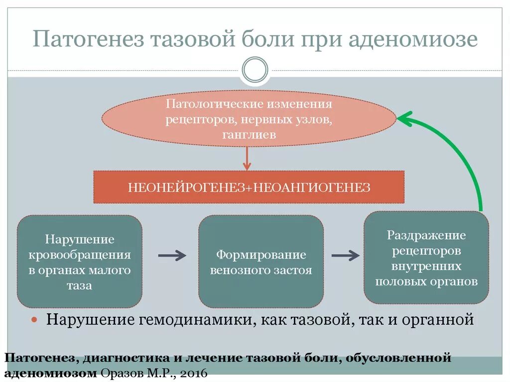 Больно при половом акте у женщин. Патогенез боли при эндометриозе. Механизм развития эндометриоза. Патогегез эндометриоз.