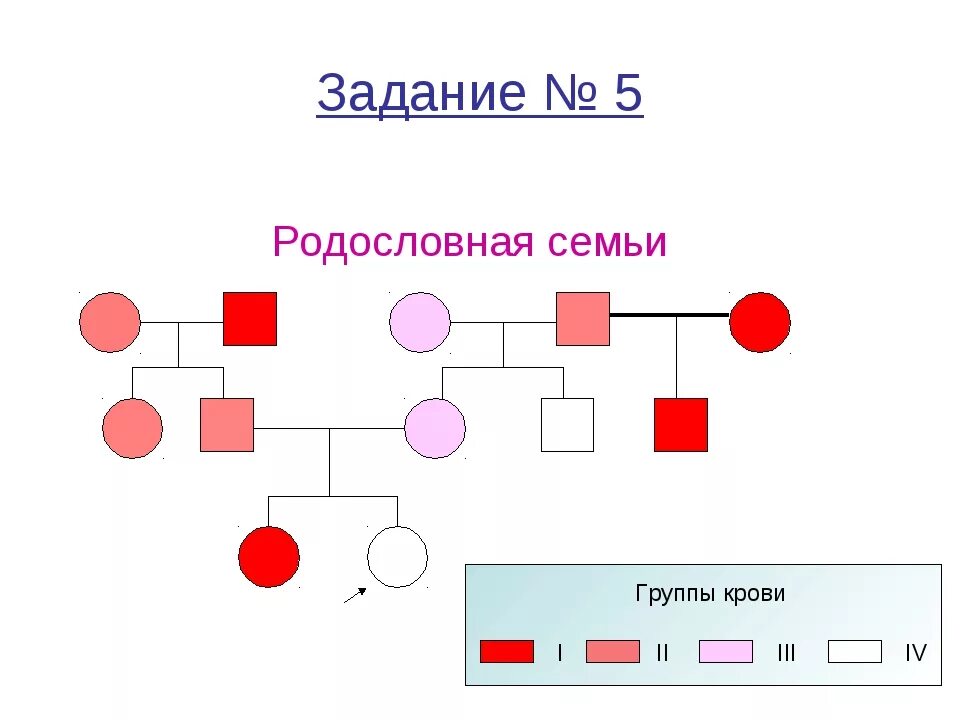 Составить родословную по цвету глаз. Родословная по группе крови. родословная генетика пример цвет глаз. генеалогическое древо по цвету глаз генетика. генеалогическое древо по генетике цвет глаз.