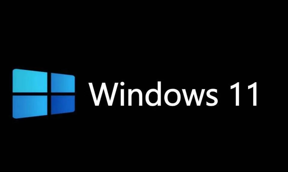 Windows 11 iso