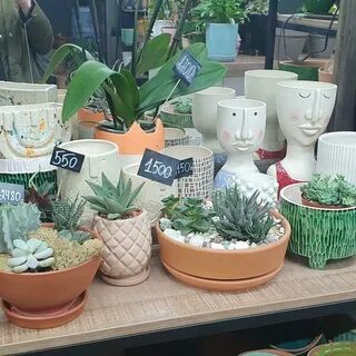 Plants company