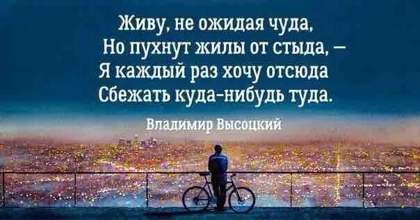 Сбежать куда-нибудь туда Высоцкий. Живу не ожидая чуда Высоцкий. Живу не ожидая чуда но пухнут жилы от стыда. Хочу отсюда сбежать куда-нибудь.