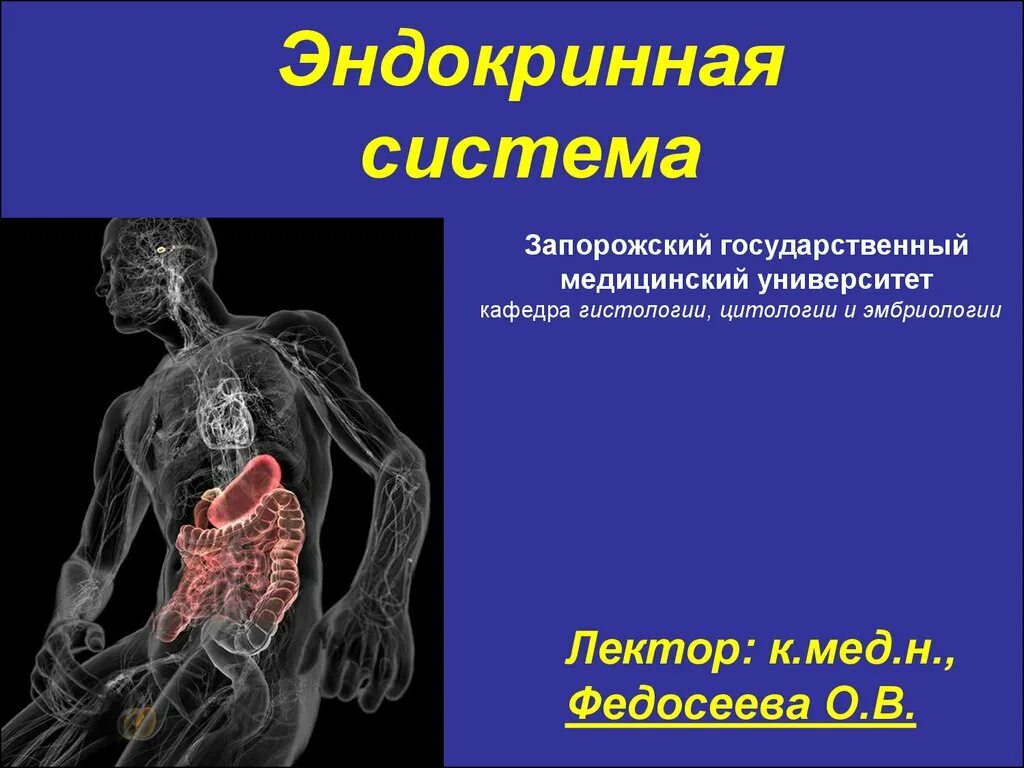 Эндокринология презентация. Эндокринная система. Эндокринная система презентация. Эндокринной системы, п. Строение эндокринной системы человека.