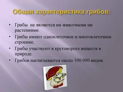 Охарактеризуйте грибы