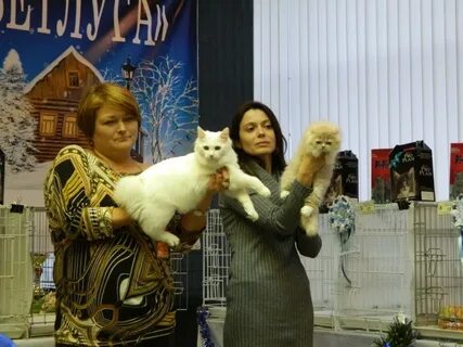 Ярмарка дворец железнодорожников