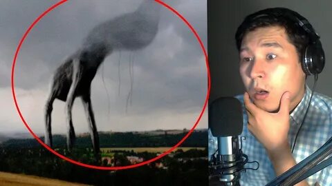 Куннилингус пен анустың порнофотосуреттері