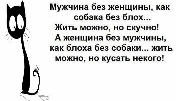 Можно жить без мужчины. Мужчина без женщины как собака без блох. Женщина как собака без блох жить можно. Мужчина без женщины как собака. Мужчина без женщины как собака без блох жить можно но скучно.