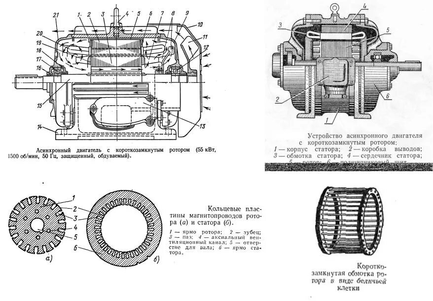 Асинхронный двигатель короткого замыкания. Схема статор асинхронного двигателя с короткозамкнутым. Асинхронный двигатель схема ротор статор. Схема устройства асинхронных двигателей и принцип действия. Ярмо статора асинхронного двигателя.