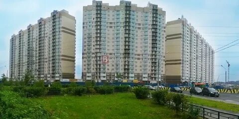 Улице михаила дудина 6