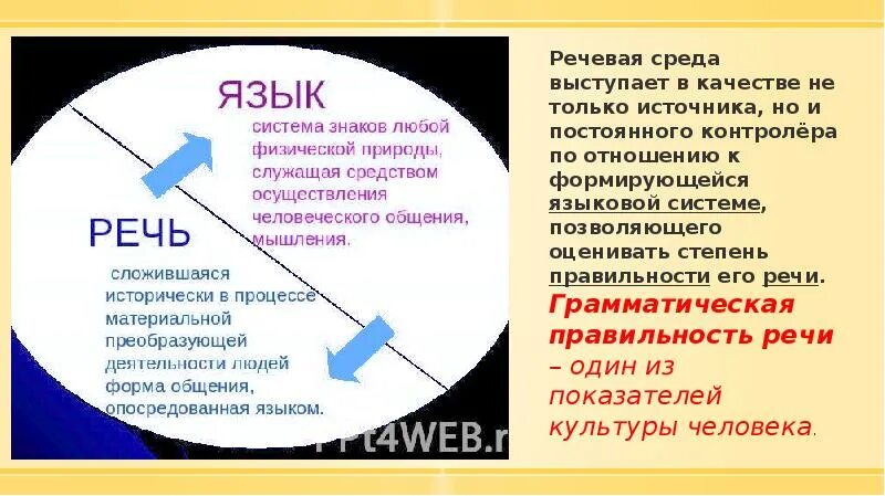 Языковая среда является. Культурно языковая среда это. Сообщение речевая среда в группе. Возможные проблемы дошкольного возраста. Развивающая речевая среда ребенка -дошкольника.