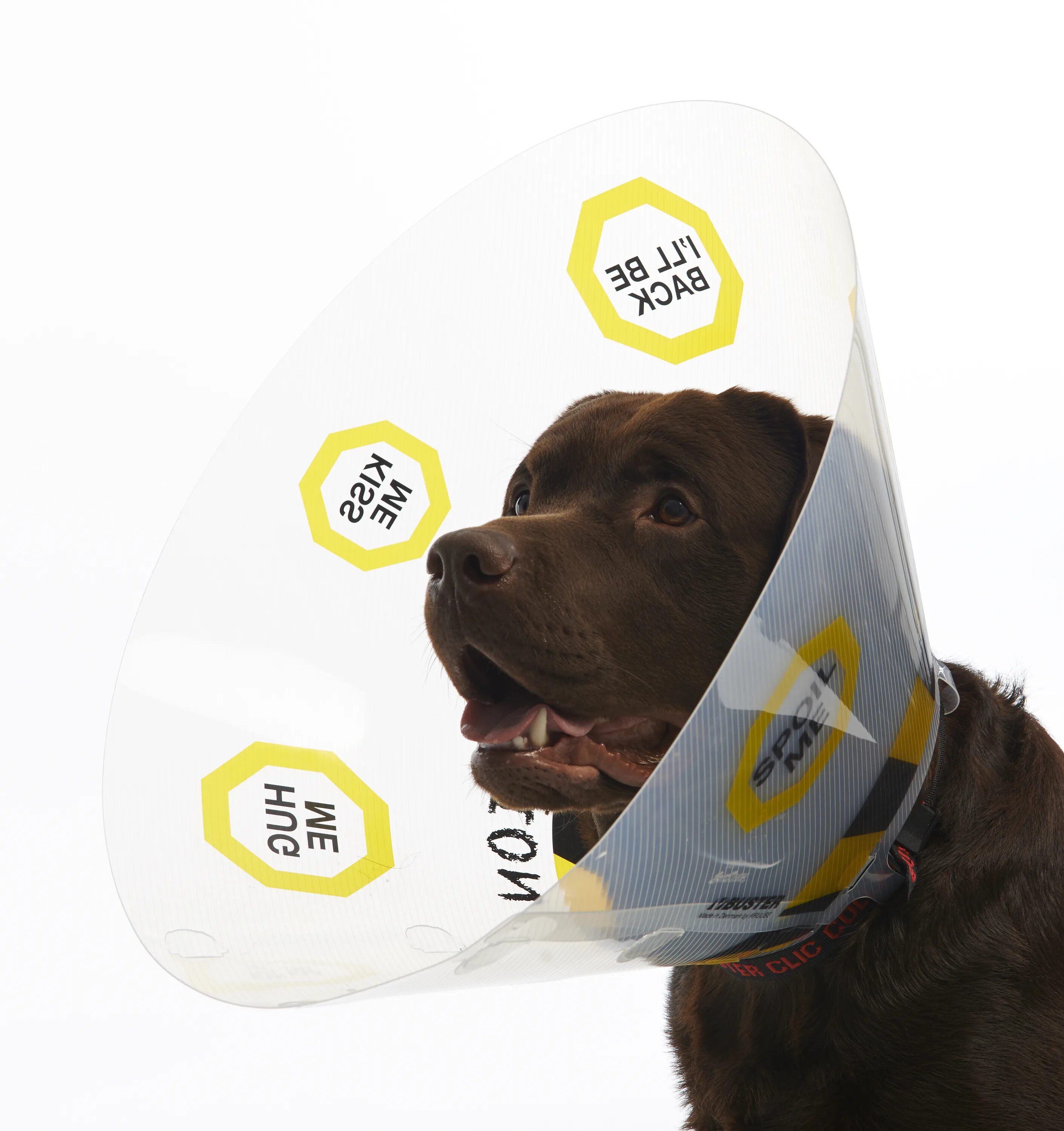 Воротник для собаки. Защитный воротник kruuse buster comfort collar 10 см. kruuse защитный воротник 30 см. защитный воротник kruuse buster soft collar. защитный воротник kruuse buster clic collar 25 см.