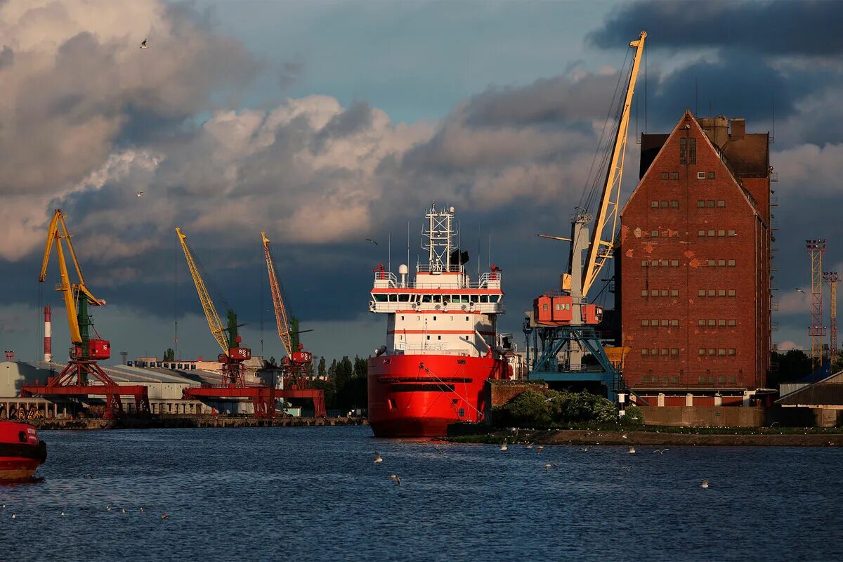 Вьетнамские компании в россии. Shipping stops. Секрет виктора мем. Изоляция сша. Oldendorff carriers.