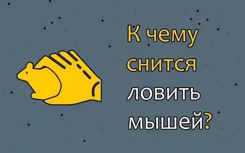 Мышку поймали сон