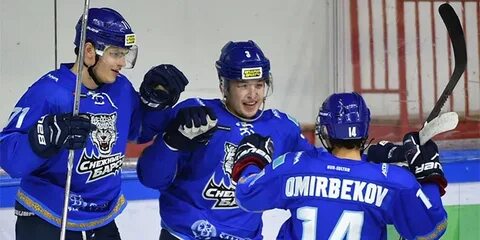 Реактор снежные барсы