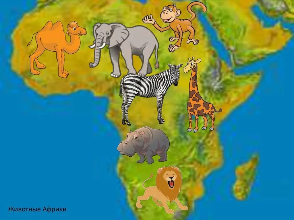 Животные африки 2 класс. Животные Африки для детей. Африка для детей дошкольного возраста. Звери Африки для детей. Путешествие по Африке для дошкольников.