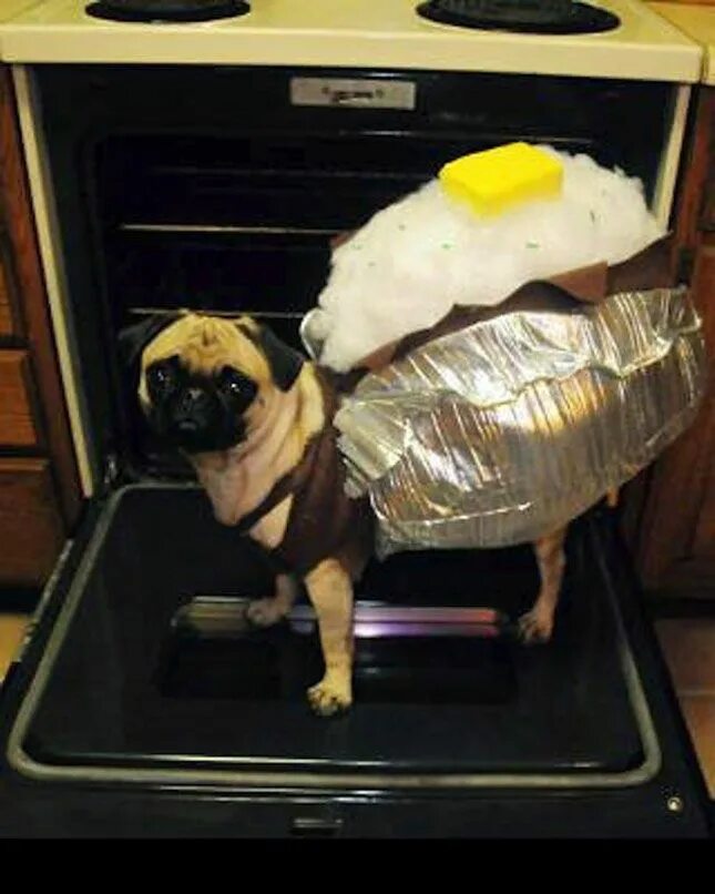 Potato dog