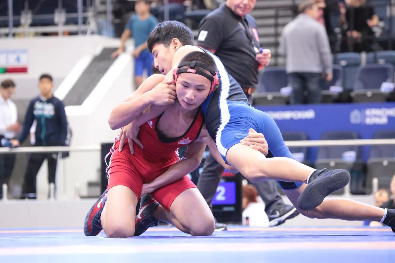 Идти ли на борьбу. Идти ли на борьбу. Идти ли на борьбу. Борцы греко-римской борьбы. Кадимагомедов магомедхабиб 2021.