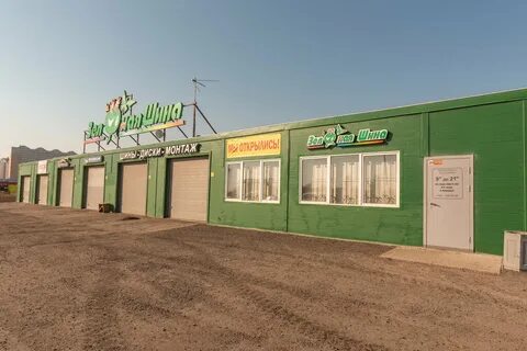 Зеленая шина санкт петербург витебский