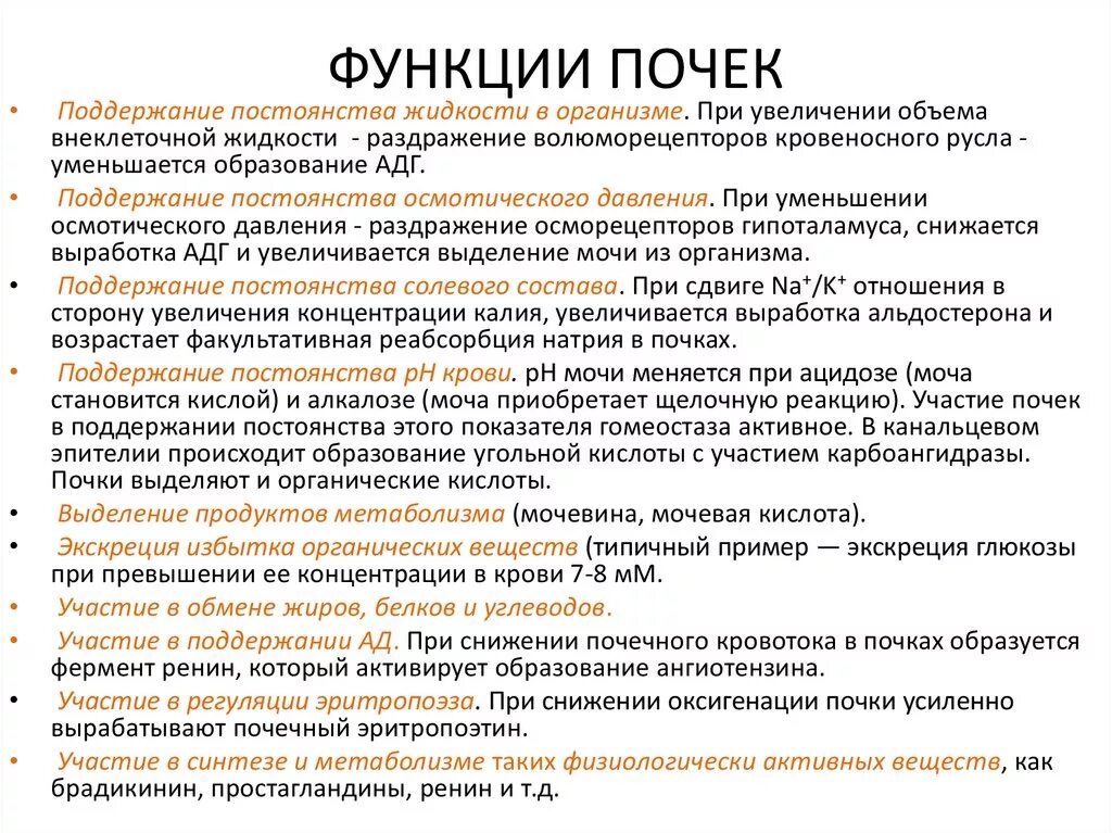 Каковы функции почек. Перечислите основные функции почек. Общее представление о функциях почек. Назовите функции почек. Почки человека функции кратко.