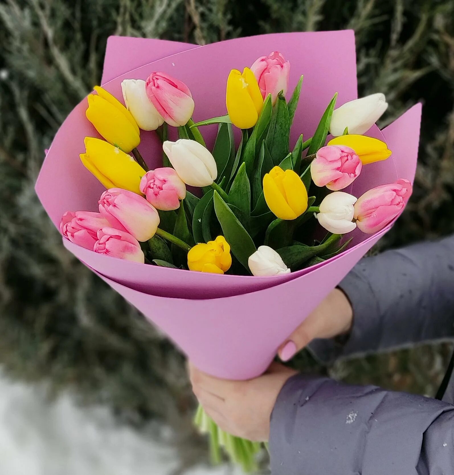 Как выглядит 19 тюльпанов. 19 тюльпанов микс. 101 тюльпан микс. букет из 19 тюльпанов. букет из 19 тюльпанов как выглядит.