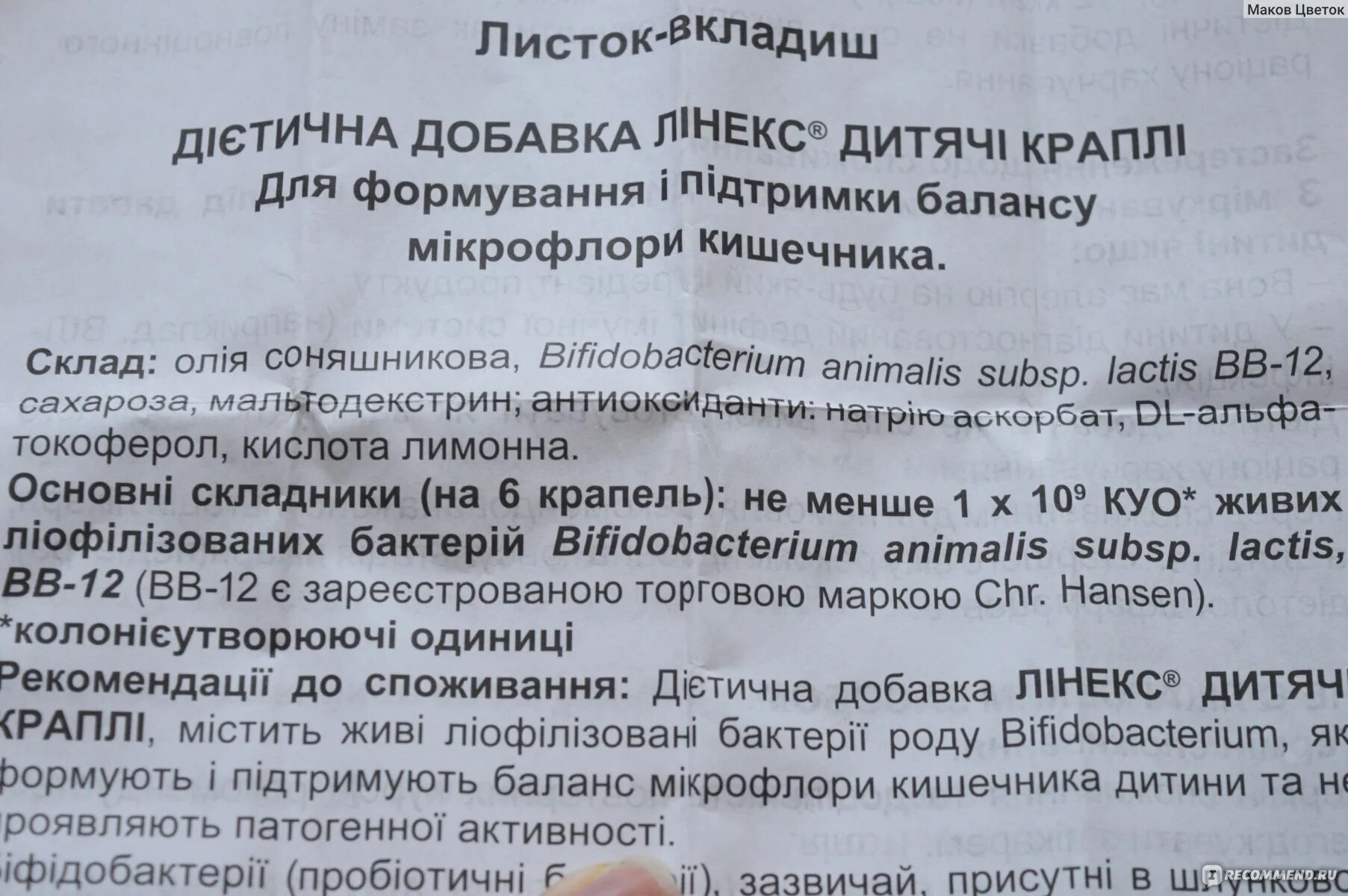 Можно давать собаке левомицетин