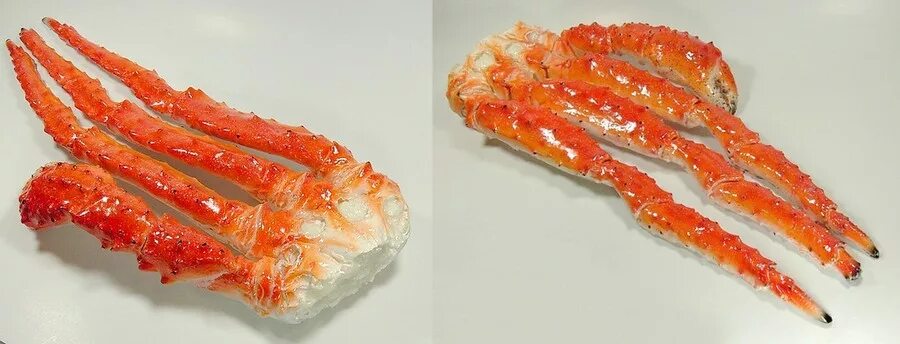 вода просвечивала насквозь каждая обломанная клешня краба. красивый краб. конечности камчатского краба l2. впр по русскому перепишите текст 1 раскрывая где это необходимо. вода просвечивала насквозь каждая обломанная клешня краба.