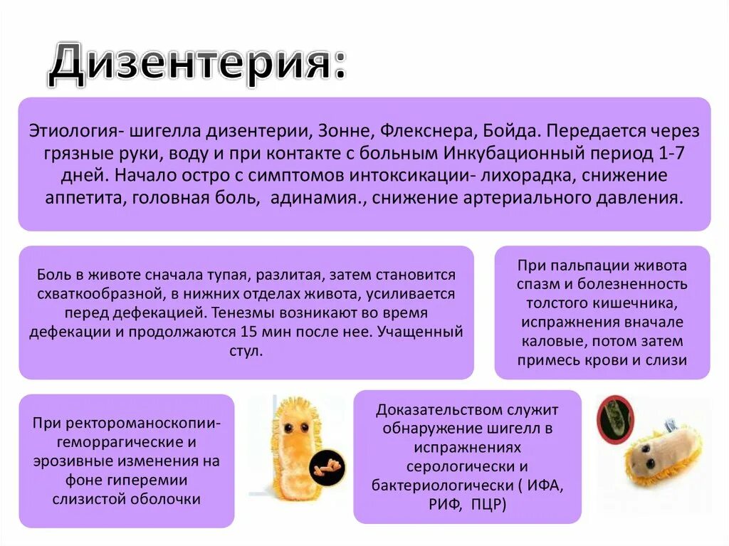 Рекомендации при дизентерии. Шигеллы вызывают заболевание. Возбудитель дизентерии микробиология. Возбудители бактериальной дизентерии. Дизентерия основные синдромы.