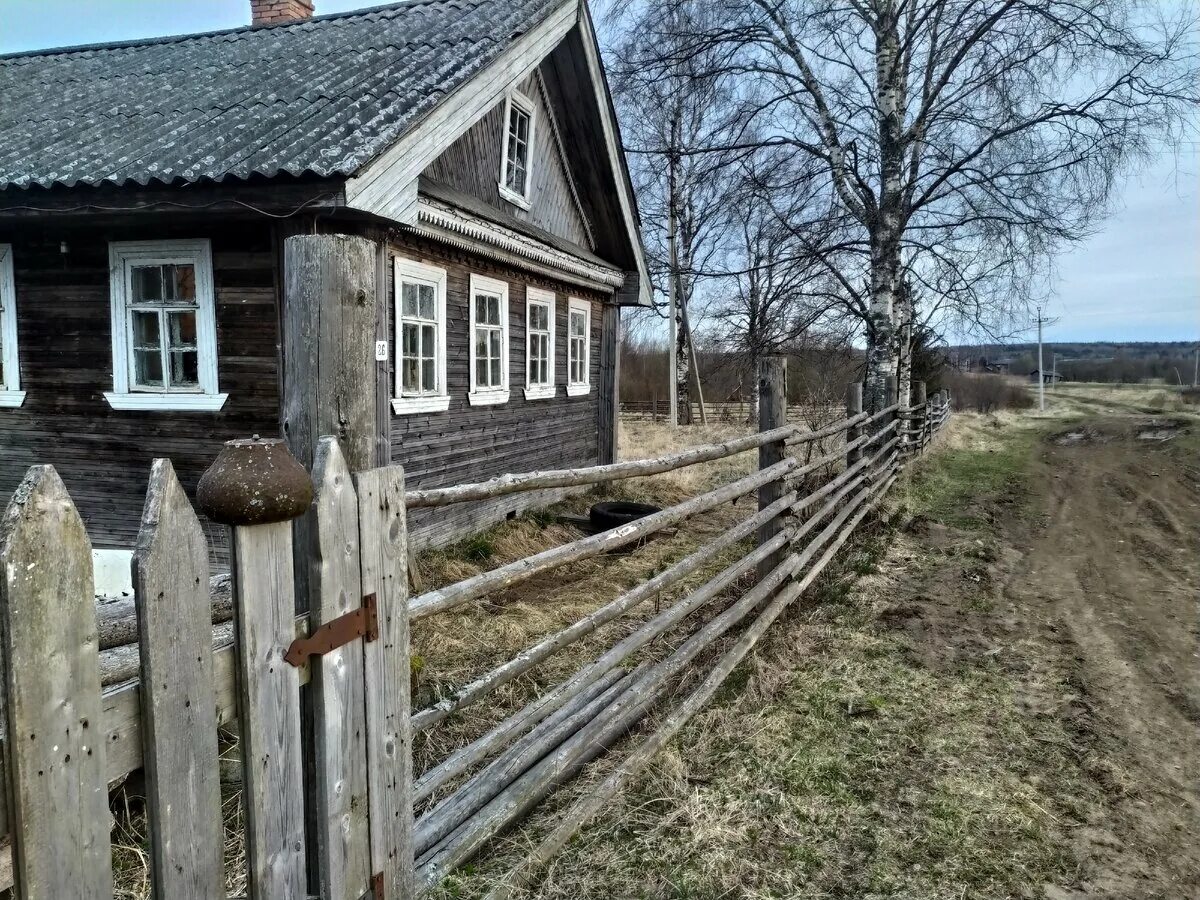 Беловодка Мглинский район. Конопаковка. Конопаковка Брянская область. Деревня Каргиничи. Ищу деревни работу