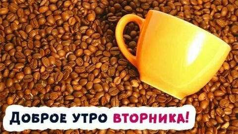 Утро вторника прикольные и смешные картинки