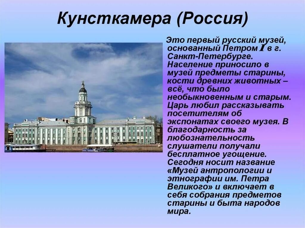 И т д основанная в. Сообщение про музей Кунсткамера в Санкт-Петербурге. Петра 1 первый музей России Кунсткамера. Первый музей в России при Петре 1. Кунсткамера Санкт-Петербург при Петре 1.