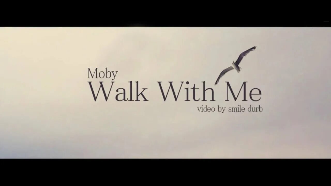 Walk with me. Moby - the last Day (feat. Skylar Grey). Moby natural Blues. The last day moby перевод песни