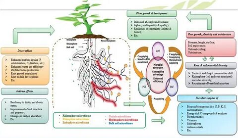 Plant net