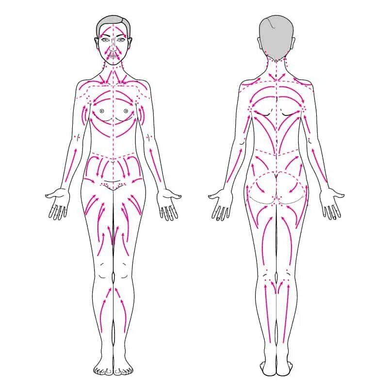 Направление массажных движений при массаже. Массажные линии тела схема лимфа. Схема лимфодренажного массажа тела. Лимфатическая система человека схема движения лимфы массаж. Лимфатическая система человека лимфодренажный массаж.